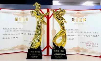 喜訊 | 朗翼智像榮獲AI天馬“領軍企業”和“臻品”雙項大獎